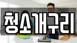 청소개구리