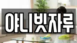 야니빗자루