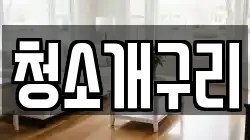 청소개구리