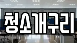 청소개구리