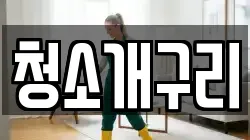 청소개구리