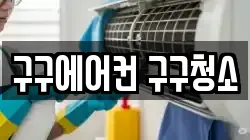 구구에어컨 구구청소