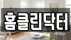 홈클린닥터