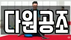 다원공조