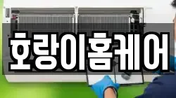 호랑이홈케어