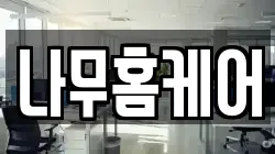 나무홈케어