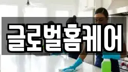 글로벌홈케어