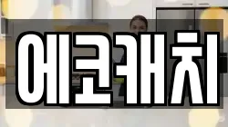 에코캐치