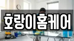 호랑이홈케어
