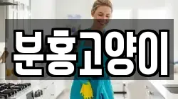 분홍고양이