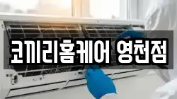코끼리홈케어 영천점