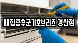 새집증후군가호브리즈 경산점