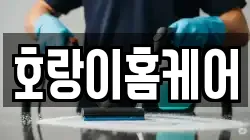 호랑이홈케어