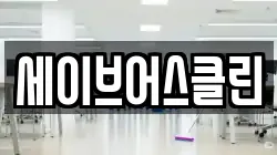 세이브어스클린