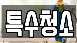 특수청소