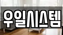 우일시스템