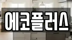 에코플러스