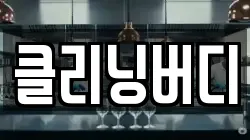 클리닝버디