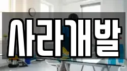 사라개발