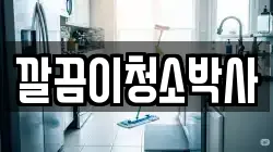 깔끔이청소박사