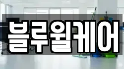 블루윌케어