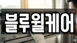 블루윌케어