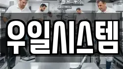 우일시스템