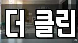 더 클린