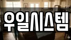 우일시스템