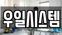 우일시스템