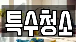 특수청소