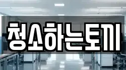 청소하는토끼