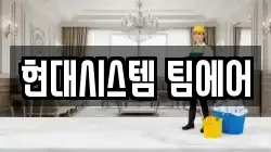 현대시스템 팀에어