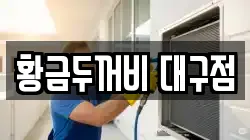 황금두꺼비 대구점