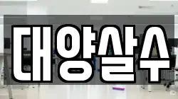 대양살수