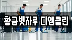 황금빗자루 디엠클린
