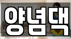 양념댁