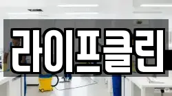 라이프클린