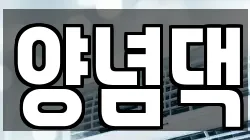 양념댁