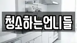 청소하는언니들