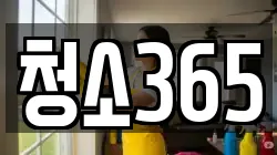 청소365