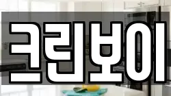 크린보이
