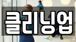 클리닝업
