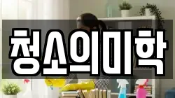 청소의미학