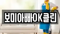 보미아빠OK클린