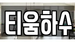 티움하수