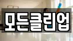 모든클린업