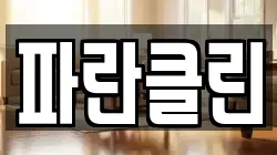 파란클린