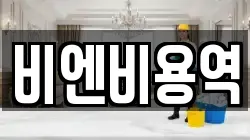 비엔비용역