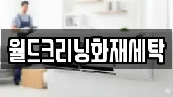 월드크리닝화재세탁